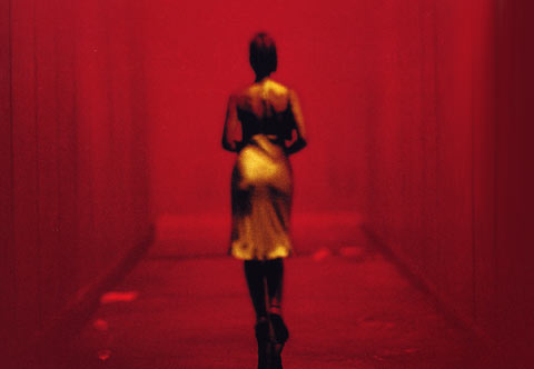 Gaspar Noe Movie Posters