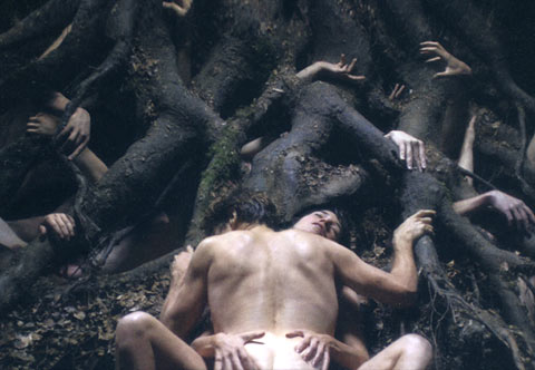 Lars von Trier Movie Posters