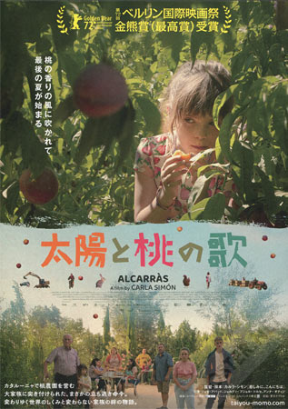 Alcarràs