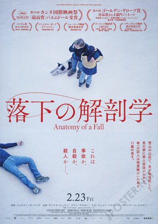 Anatomy of a Fall