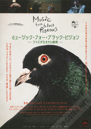 Music for Black Pigeons