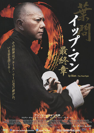 Ip Man: The Final Fight