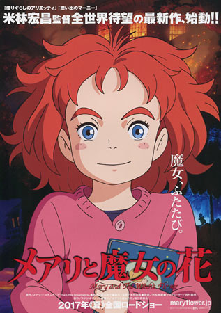 Mary and the Witch's Flower