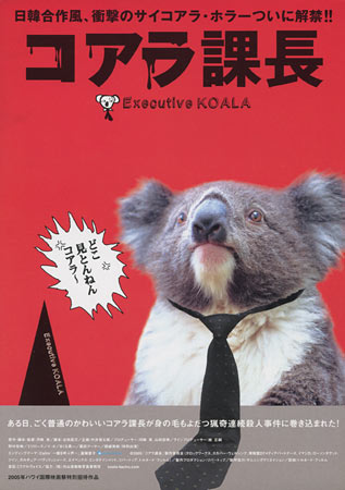 Executive Koala