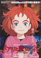 Mary and the Witch's Flower